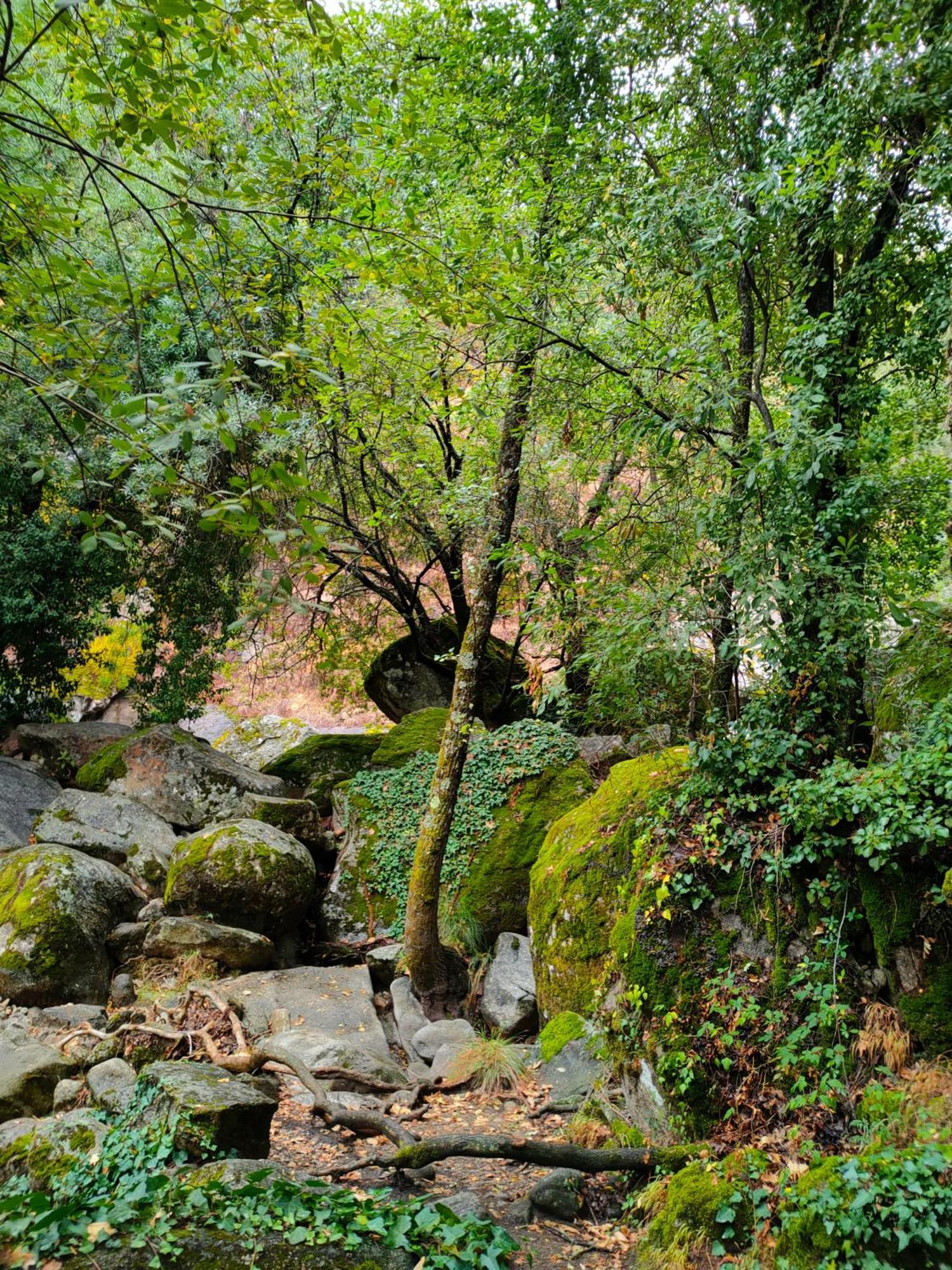Acogedor Apartamento Valle Del Jerte Piornal Exterior foto
